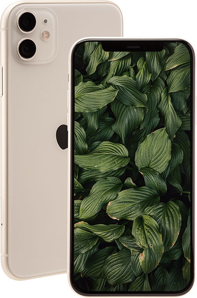 iPhone 11 image